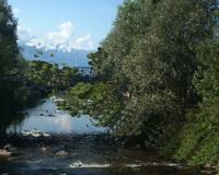 Torrente, foto Ibis